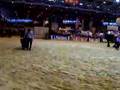 Poitous at the Paris Agricultural Show