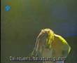 Ratamahata Live in Barcelona