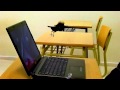 Click here to watch this video Spot 