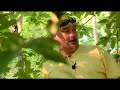 The Geo Man - Gold - Part 2 of 2