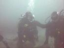 narcosis team x