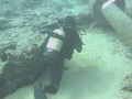 Lanzarote Diving November 2009