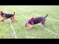 Click here to watch this video 05-20-12 WPGA Race