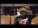 acafool interveiw