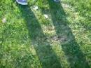 X treme Golf Newboro