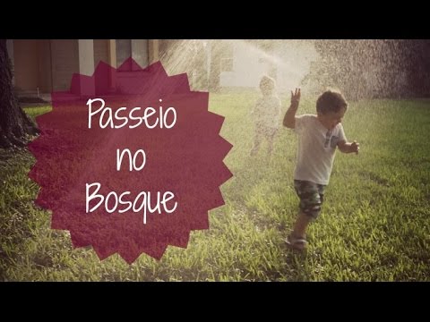 BATE PAPO NA CAMINHADA