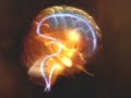 How a stroke can affect the emotional brain.