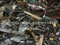 v�deo-arte inspirado no conto metamorfose de franz kafka, com m�sica de cliff martinez, composta para o filme solaris, de steven soderbergh (2002)
