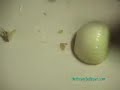 How to dice an onion, without crying