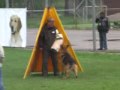 Kinodrom 2009 S-93|Кинодром 2009. IPO-3 "C"