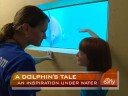 Dolphin Amputee Inspires Child