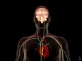 Noninvasive Regeneration of Adult Neural Stem Cells