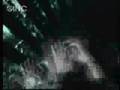 The Fly - Tetap Disini