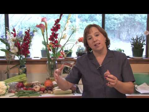 how to harvest shallots