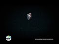 Elezioni 2008 - Spot elettorale Italia dei Valori Elezioni 2008 - Spot elettorale Italia dei Valori