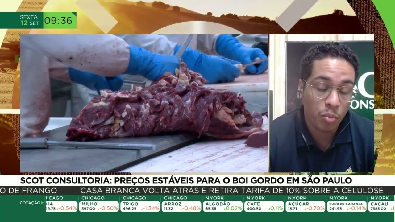 Scot Consultoria projeta preços estáveis para o boi gordo em São Paulo