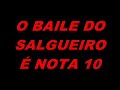 o baile do salgueiro é nota 10 !!!