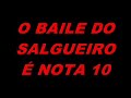 o baile do salgueiro � nota 10 !!!
