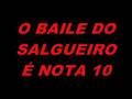 o-baile-do-salgueiro