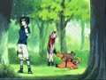 Naruto - Chiwawa
