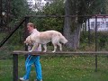 Jessie z M?sí?ních plání Jessie z M?sí?ních plání