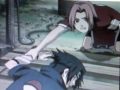 sakura h. & sasuke u.