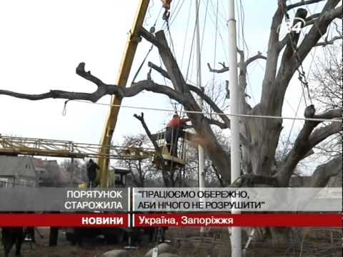 Смотреть видео Смотреть видео