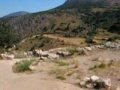 palace at mycenae