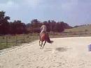 orfee au boulot orfee au boulot