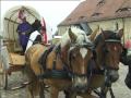 Titanen On Tour (11/4)