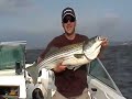 mac - 37 inch striper susquehanna flats mac - 37 inch striper susquehanna flats