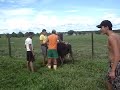 MOV03260 MOV03260