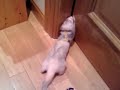 Prison Break.mp4
