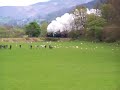 6880 Llangollen Carrog 1450 9466 5224 4160 5643 6430 5199 78019 7822 3802 34081