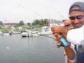Feeding Schoolie Bass