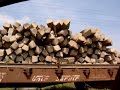 FSRR 10003 TREN DE TRABAJO HUEYOTLIPAN FSRR 10003 TREN DE TRABAJO HUEYOTLIPAN