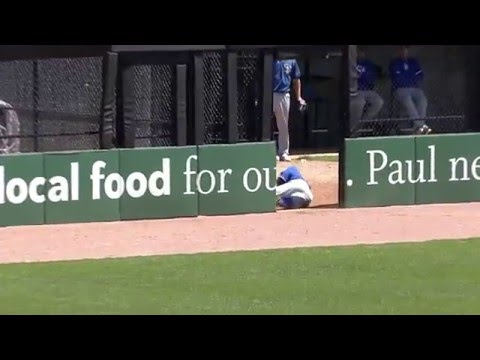 Minor League Outfielder Makes Catch Crashing Through Bullpen Door