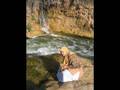 A Trip To CAIRO,EYGPT