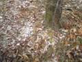 Sleet, day 1