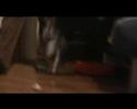 kisvideo david-r?l a b�tor �s vakmer? kand�rr�l! : )