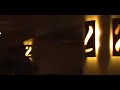ezginin g�nl�?� ebruli cover grup e5