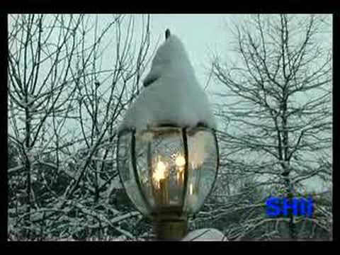 Tranquility of Snowfall