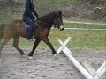 Riding diary - 1.april 2007 Riding diary - 1.april 2007