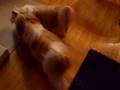 videos de Bax and Max 2