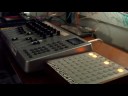 mushroom rain w/ monome