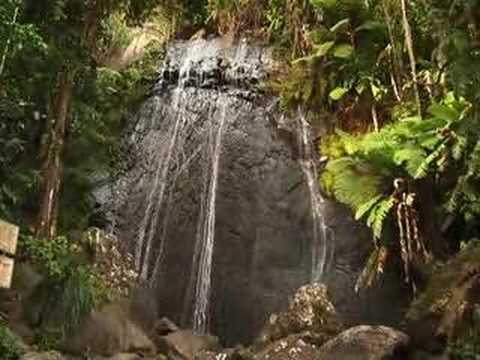 0 El Yunque, belleza boricua