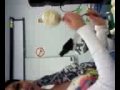 bored in anatomy lab