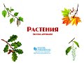 Презентация для детей 
