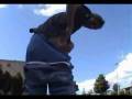 videos de hello my friend. How have you been.Its been a while. Preview..
