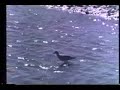 03.Images And Memories Of The Sea
